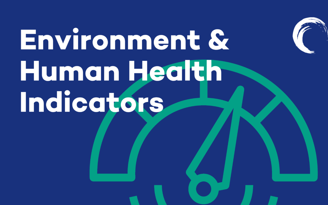 Evaluating impact with Environment & Human Health Indicators