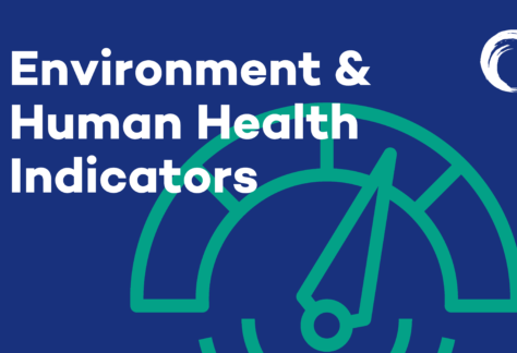Evaluating impact with Environment & Human Health Indicators