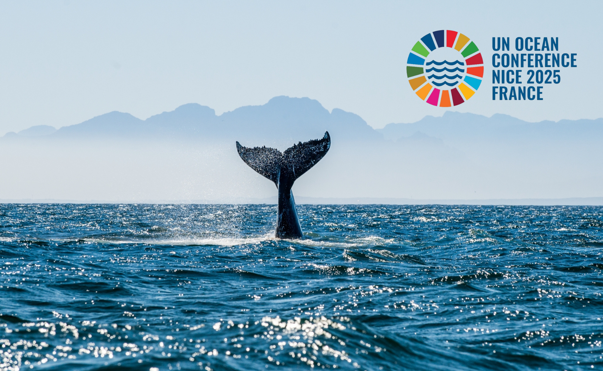 We are attending the UN Ocean Conference in Nice