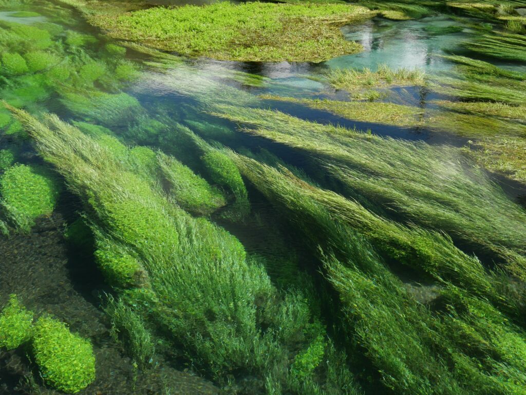 Venice Lagoon